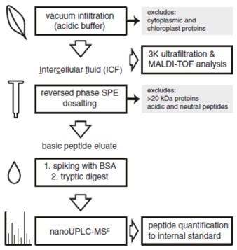 Label-free nanoUPLC-MS<sup>E</sup> based quantification of antimicrobial peptides from the leaf apoplast of <em>Nicotiana attenuata</em>