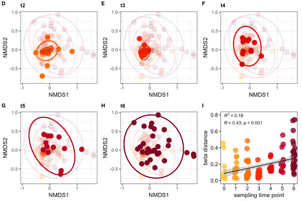 Microbiome diversity