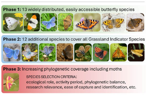 LepEU: A Consortium to Study the Population Genomics of Butterflies and Moths Across Europe