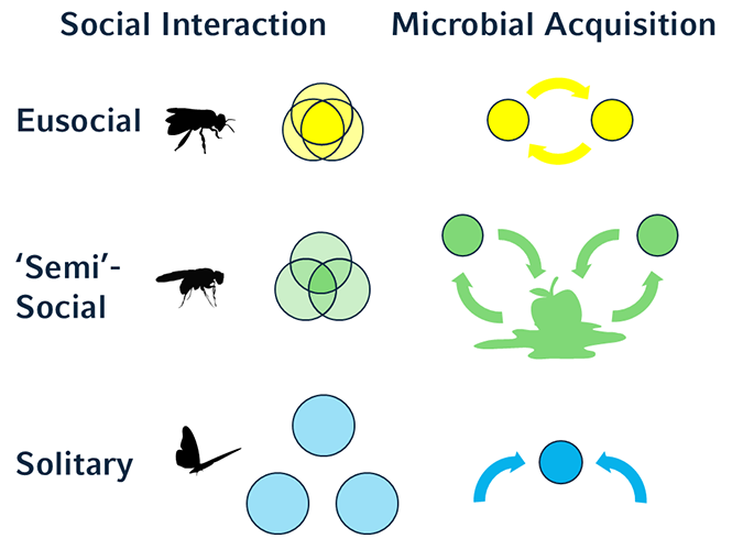 Microbial Acquisition